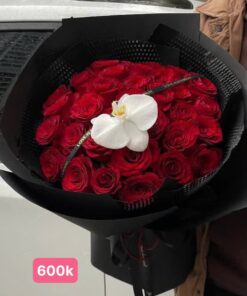 SK002