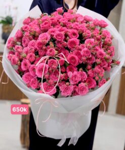 SK003